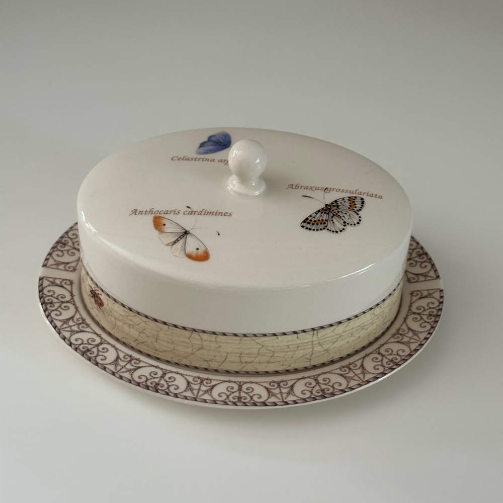 Wedgwood Sarah's Garden butterflies 2 pc covered butter plate